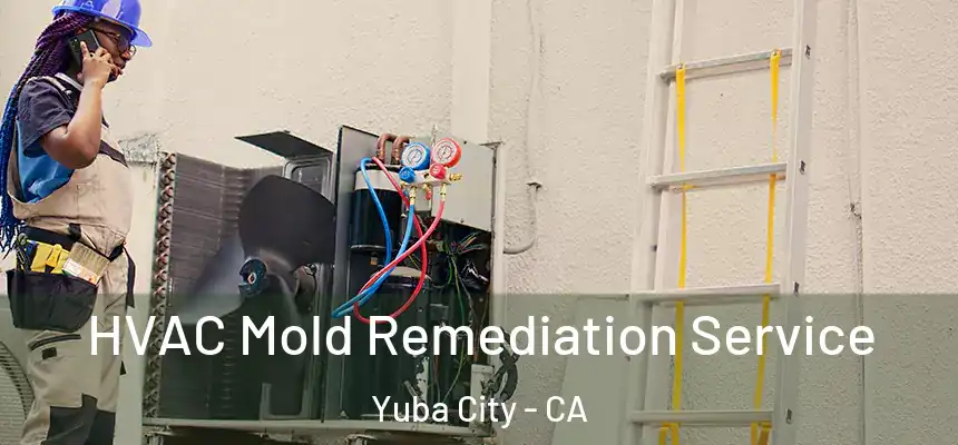  HVAC Mold Remediation Service Yuba City - CA