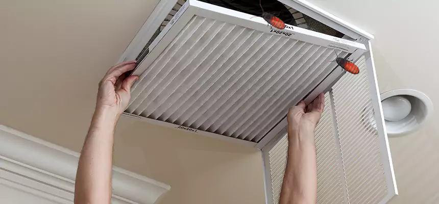 Preventive Cockroach-Proofing for Ducts in Yuba City