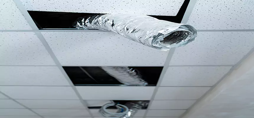 Our Air Duct Pet Hair Removal Services in Yuba City, CA