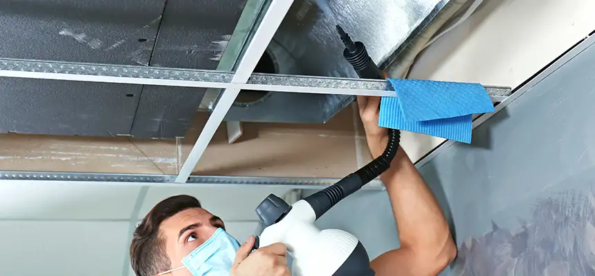 Our Air Duct Rodent Removal Services in Yuba City, CA