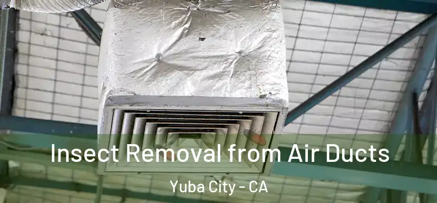 Insect Removal from Air Ducts Yuba City - CA
