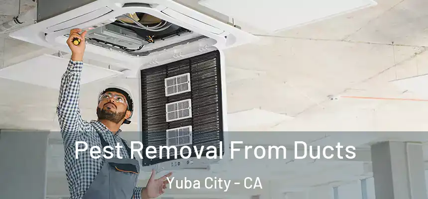 Pest Removal From Ducts Yuba City - CA