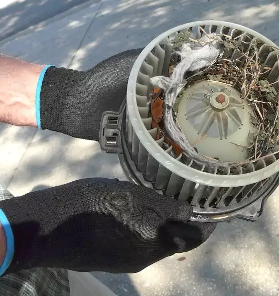 About Air Duct Rat Removal in Yuba City, CA