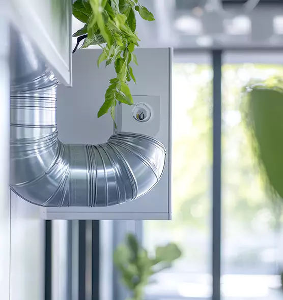 Professional Eco-Friendly Duct Cleaning Services in Yuba City, CA