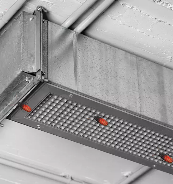Affordable Insect Removal from Air Ducts in Yuba City, CA