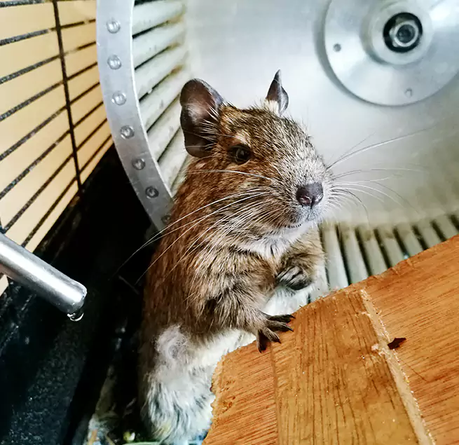 Why Homeowners & Businesses Trust Us Yuba City, CA?