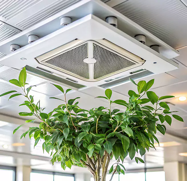 Why Homeowners & Businesses Trust Us in Yuba City, CA